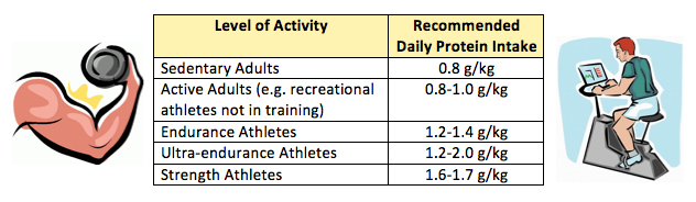 Protein requirements for active lifestyles