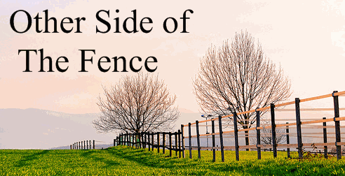 other-side-fence.jpg