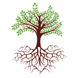 To Grow to Great Heights, You Must Plant Deep Roots - NutritionRx