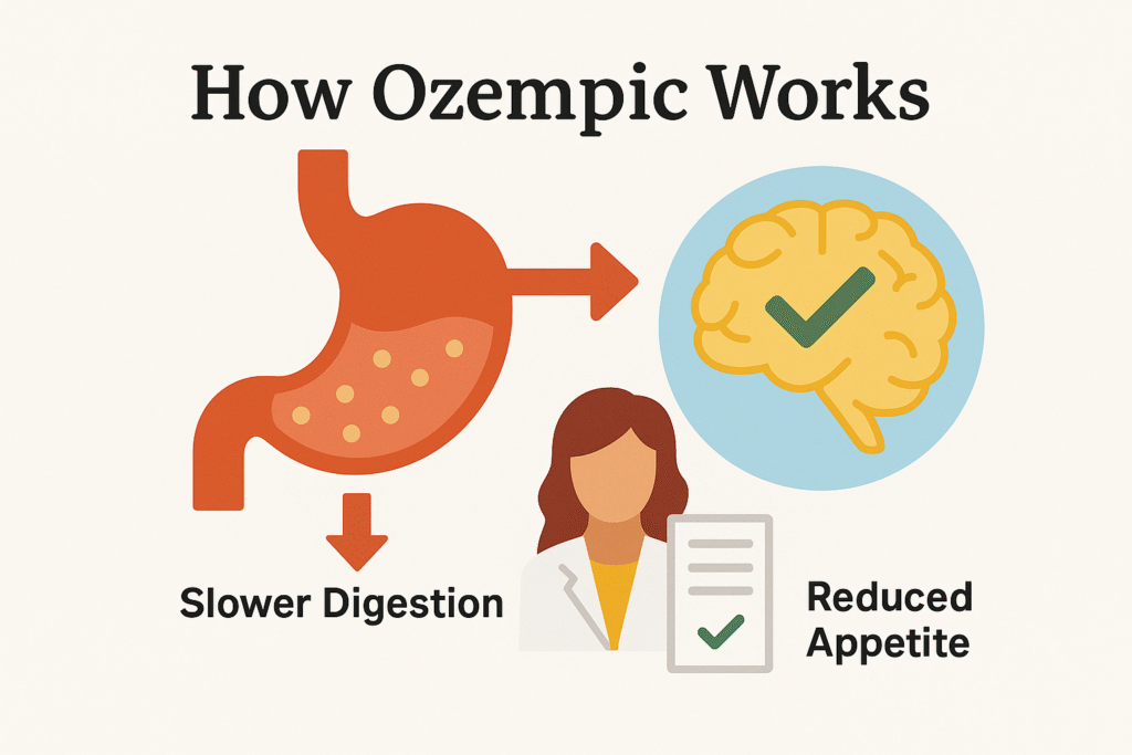 Infographic titled "How Ozempic Works" showing the medication's two main actions for weight loss: slowing digestion (food stays in the stomach longer) and signaling to the brain to reduce appetite and increase feelings of fullness.